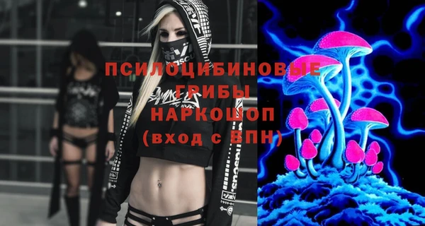 молекула духа Протвино